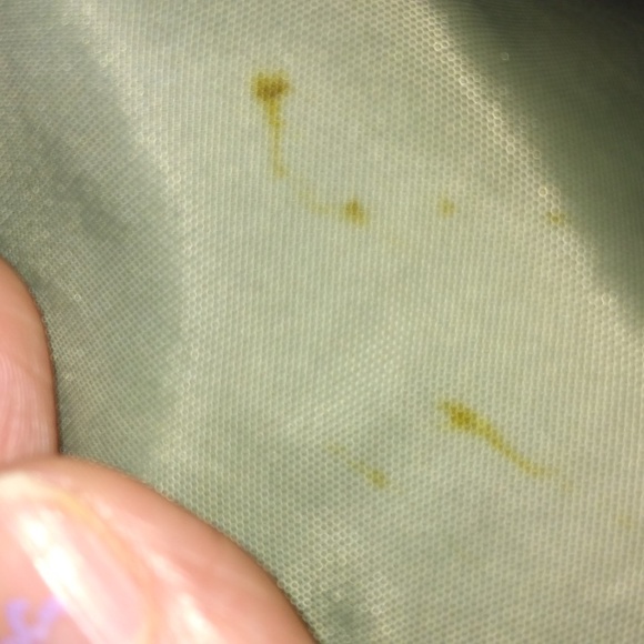 Pink Victoria Secret windbreaker green jacket size XS - Picture 15 of 17